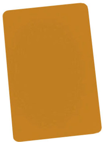 Brady PVC Plastic ID Card