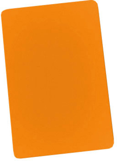 Brady PVC Plastic ID Card