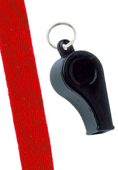 Brady Lanyards Lanyard