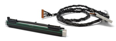 Zebra ZD420 Printhead