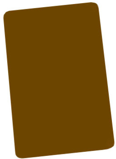 Brady PVC Plastic ID Card