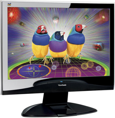 ViewSonic VX1932wm-LED Monitor