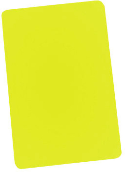 Brady PVC Plastic ID Card