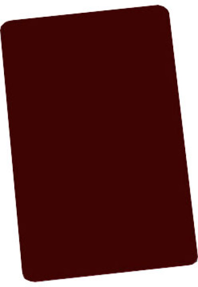 Brady PVC Plastic ID Card