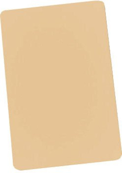 Brady PVC Plastic ID Card