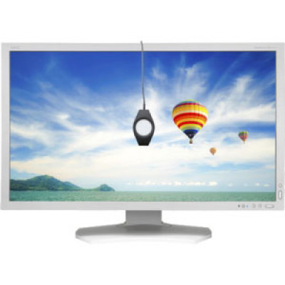 NEC Monitor