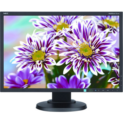 NEC Monitor