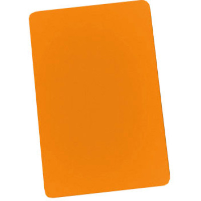 Brady PVC Plastic ID Card