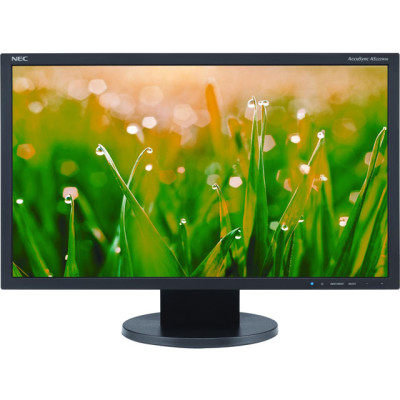 NEC Monitor