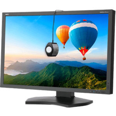 NEC Monitor