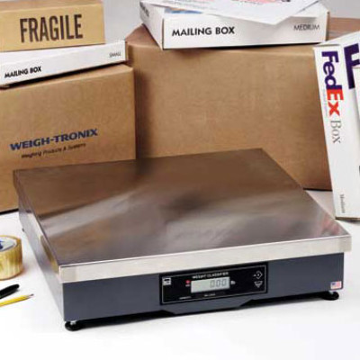 Brecknell 7829 Scale