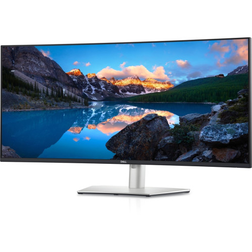 Dell Monitor