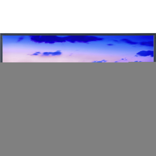 NEC V-Series Digital Signage Display