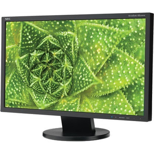 NEC Monitor