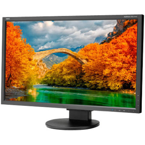 NEC Monitor