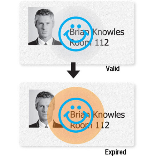 Brady Visitor Badges Access Control Cards