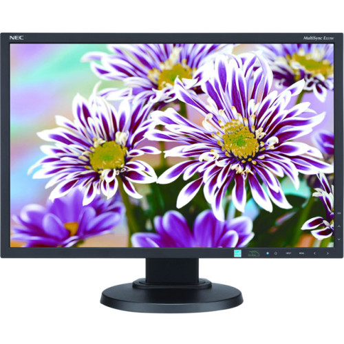 NEC Monitor