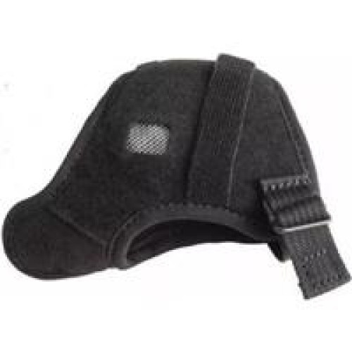 Zebra WS50 Accessory