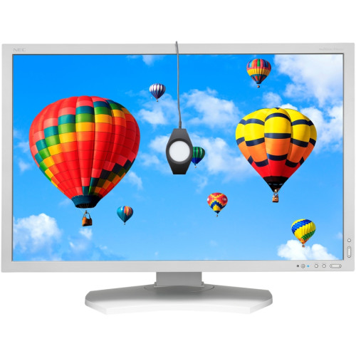 NEC Monitor
