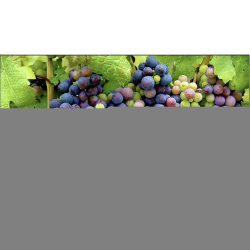 NEC X-Series Digital Signage Display