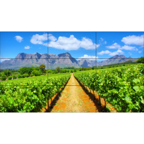 NEC X-Series Digital Signage Display