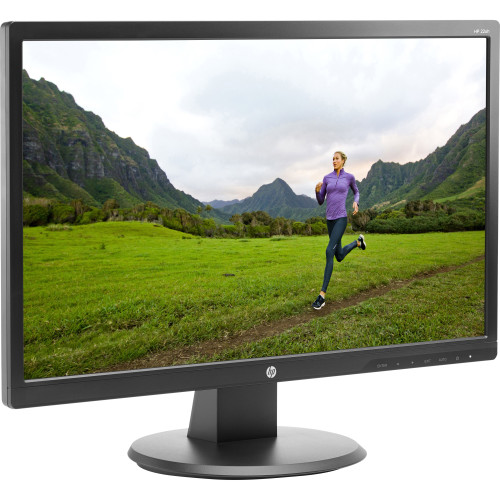 HP Monitor