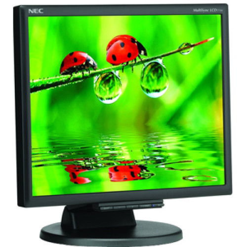 NEC Monitor