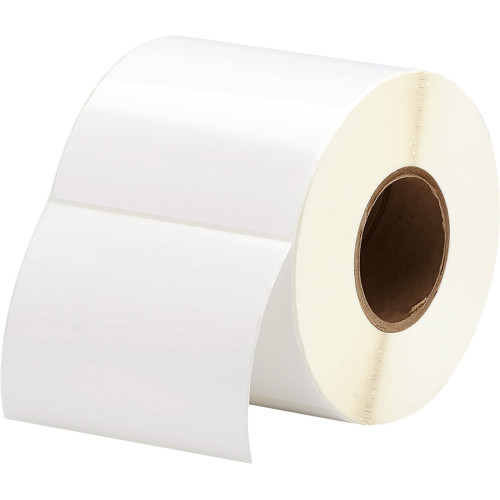 Zebra Ribbons Ribbon