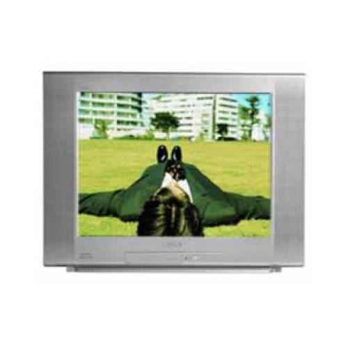 Sony Electronics CCTV Monitor