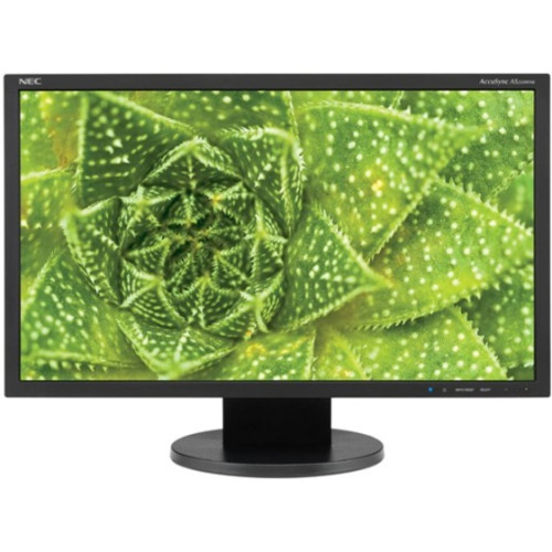NEC Monitor