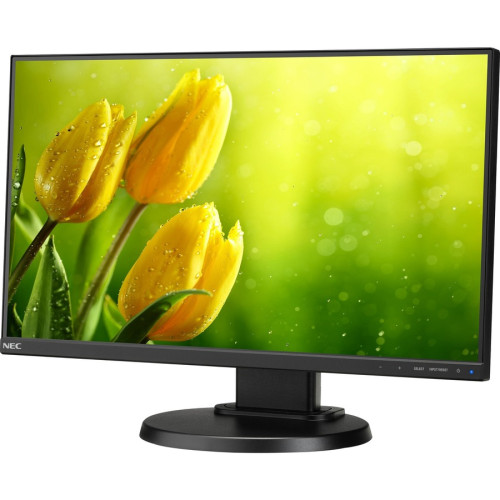 NEC Monitor