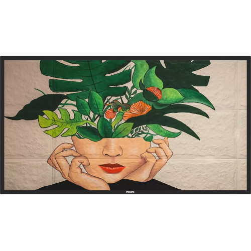 Philips Digital Signage Display