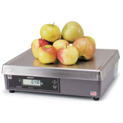 Brecknell 6720 Scale