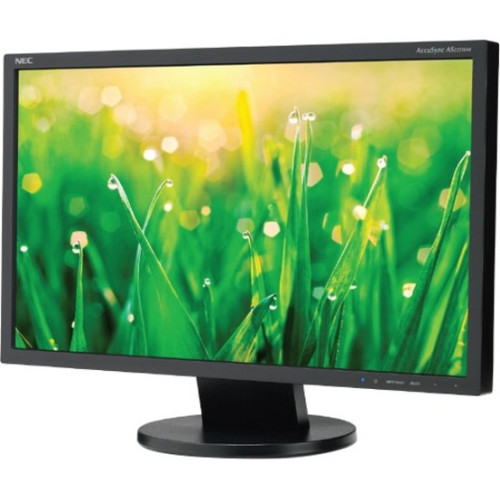 NEC Monitor