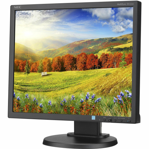 NEC Monitor
