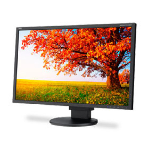 NEC Monitor